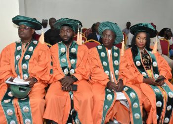 MD/CEO of AKMODEL Groups